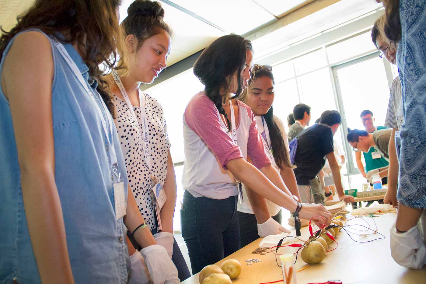 Image: high school students the opportunity to take part in hands-on activities in biology, engineering and more