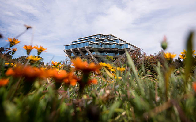 Geisel Library Jepsen