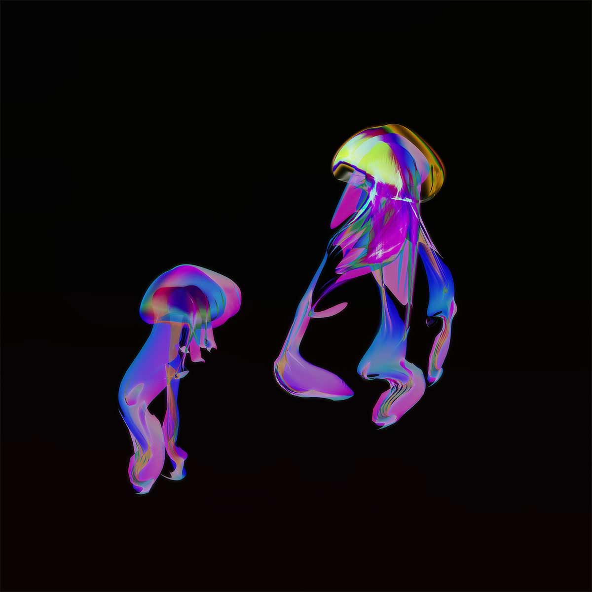 Jellyfish