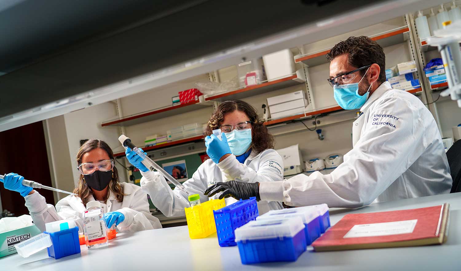 Bioengineering graduate students Nicole Felix-Velez and Talia Baddour work with Professor Brian Aguado.