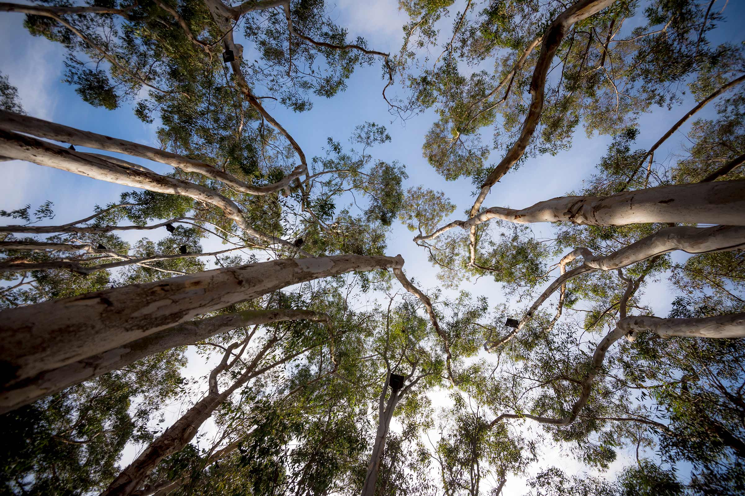 Pulitzer Prize-winning composer John Luther Adams in the forest